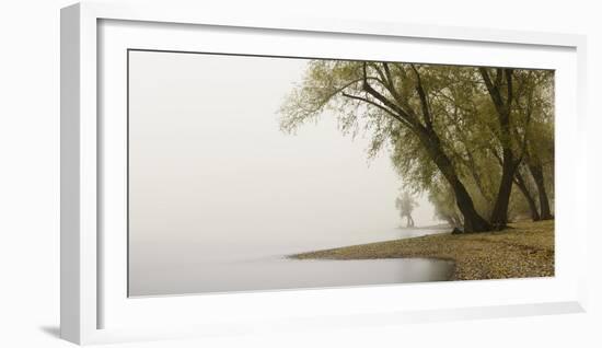 Germany, North Rhine-Westphalia, Cologne, Pastures on the Rhine Shore Beside the Zoo Bridge in Fog-Andreas Keil-Framed Photographic Print