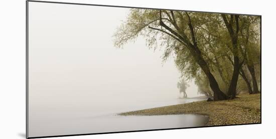 Germany, North Rhine-Westphalia, Cologne, Pastures on the Rhine Shore Beside the Zoo Bridge in Fog-Andreas Keil-Mounted Photographic Print