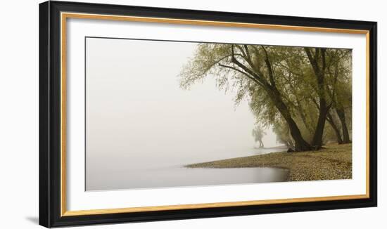 Germany, North Rhine-Westphalia, Cologne, Pastures on the Rhine Shore Beside the Zoo Bridge in Fog-Andreas Keil-Framed Photographic Print