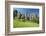 Germany, North Rhine-Westphalia, Horn-Bad Meinberg, Externsteine-Chris Seba-Framed Photographic Print