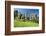 Germany, North Rhine-Westphalia, Horn-Bad Meinberg, Externsteine-Chris Seba-Framed Photographic Print