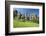 Germany, North Rhine-Westphalia, Horn-Bad Meinberg, Externsteine-Chris Seba-Framed Photographic Print