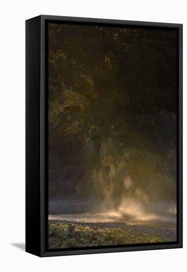 Germany, North Rhine-Westphalia, Wahner Moor, Meadow Agger, River with Morning Fog and Backlight-Andreas Keil-Framed Premier Image Canvas