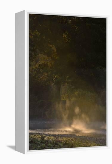 Germany, North Rhine-Westphalia, Wahner Moor, Meadow Agger, River with Morning Fog and Backlight-Andreas Keil-Framed Premier Image Canvas