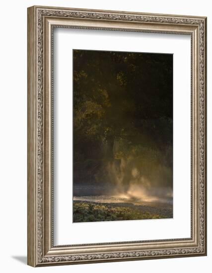 Germany, North Rhine-Westphalia, Wahner Moor, Meadow Agger, River with Morning Fog and Backlight-Andreas Keil-Framed Photographic Print