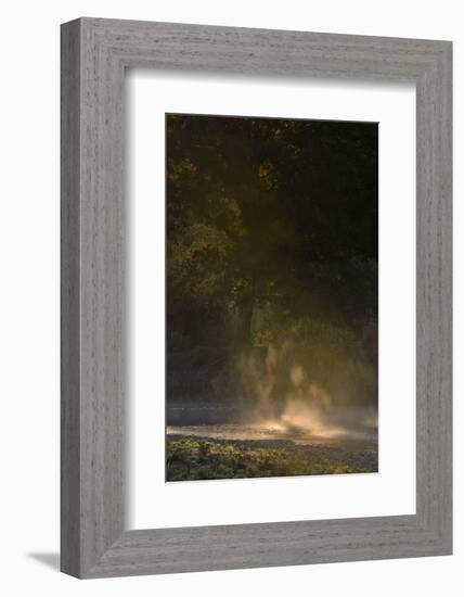 Germany, North Rhine-Westphalia, Wahner Moor, Meadow Agger, River with Morning Fog and Backlight-Andreas Keil-Framed Photographic Print