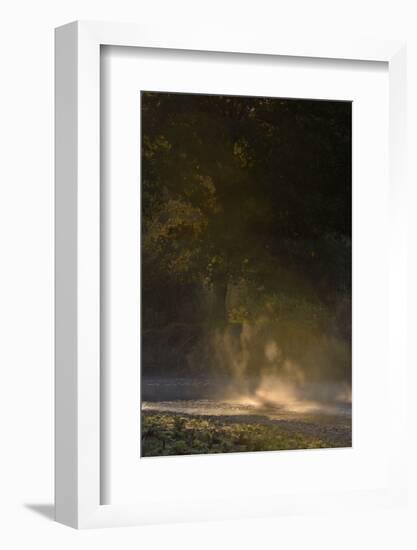 Germany, North Rhine-Westphalia, Wahner Moor, Meadow Agger, River with Morning Fog and Backlight-Andreas Keil-Framed Photographic Print