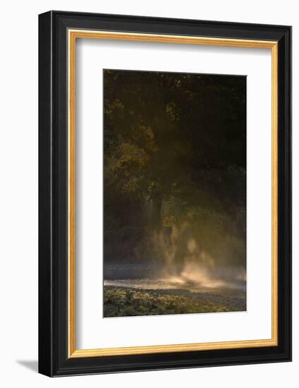 Germany, North Rhine-Westphalia, Wahner Moor, Meadow Agger, River with Morning Fog and Backlight-Andreas Keil-Framed Photographic Print