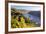 Germany, Rheinland-Pfalz, Pfalzgrafenstein and Gutenfels Castles-Peter Adams-Framed Photographic Print