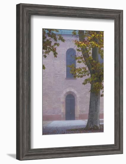 Germany, Rheinland-Pfalz, Speyer, Domgarten, Cathedral Park, Fog-Walter Bibikow-Framed Photographic Print