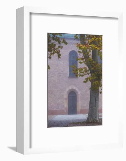 Germany, Rheinland-Pfalz, Speyer, Domgarten, Cathedral Park, Fog-Walter Bibikow-Framed Photographic Print