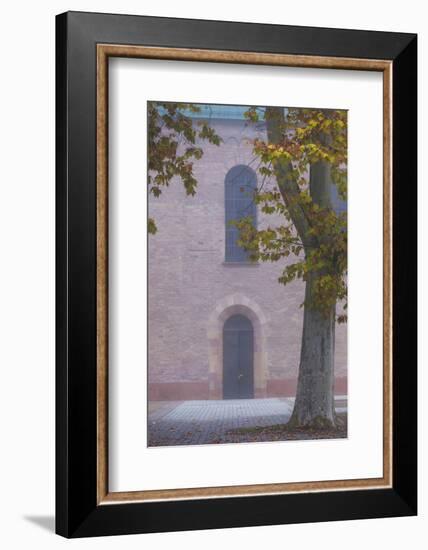 Germany, Rheinland-Pfalz, Speyer, Domgarten, Cathedral Park, Fog-Walter Bibikow-Framed Photographic Print