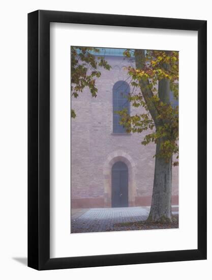 Germany, Rheinland-Pfalz, Speyer, Domgarten, Cathedral Park, Fog-Walter Bibikow-Framed Photographic Print