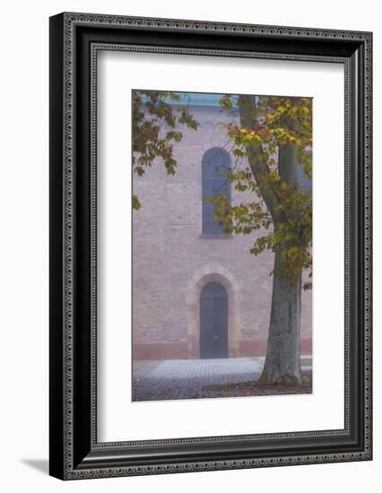 Germany, Rheinland-Pfalz, Speyer, Domgarten, Cathedral Park, Fog-Walter Bibikow-Framed Photographic Print