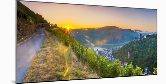 Germany, Rhineland Palatinate, Bacharach and Burg Stahleck (Stahleck Castle), River Rhine, Vineyard-Alan Copson-Mounted Photographic Print