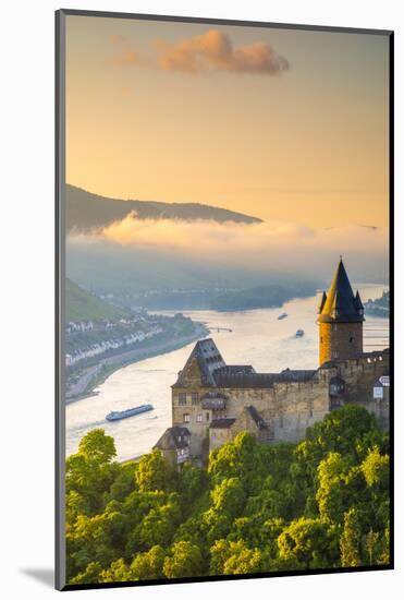 Germany, Rhineland Palatinate, Bacharach, Burg Stahleck (Stahleck Castle), River Rhine-Alan Copson-Mounted Photographic Print