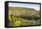 Germany, Rhineland-Palatinate, District Trier-Saarburg, Schoden, Village View the Saar-Udo Bernhart-Framed Premier Image Canvas