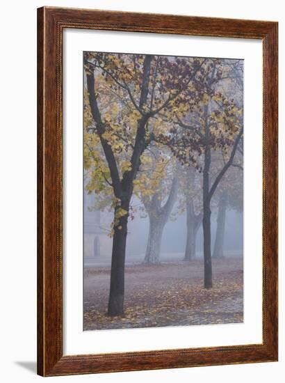 Germany, Rhineland-Pfalz, Speyer, Domgarten, Cathedral Park with Morning Fog-Walter Bibikow-Framed Photographic Print