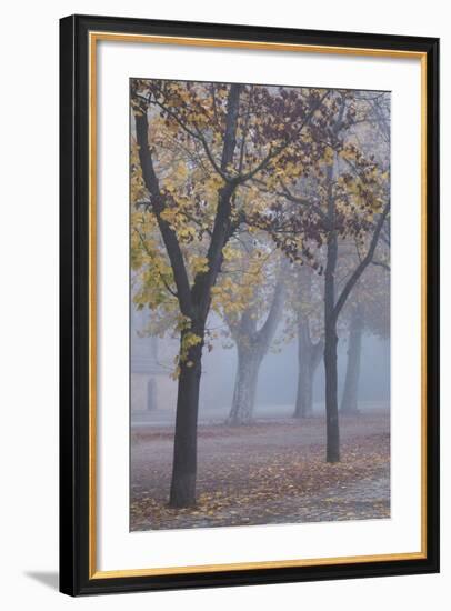 Germany, Rhineland-Pfalz, Speyer, Domgarten, Cathedral Park with Morning Fog-Walter Bibikow-Framed Photographic Print