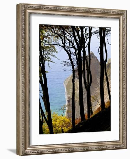 Germany, Ruegen Jasmund National Park, Beeches on the Shore Wissower over the Baltic Sea-K. Schlierbach-Framed Photographic Print