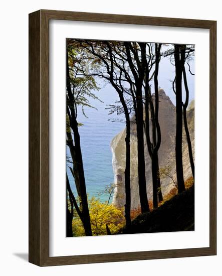 Germany, Ruegen Jasmund National Park, Beeches on the Shore Wissower over the Baltic Sea-K. Schlierbach-Framed Photographic Print