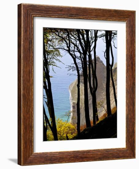 Germany, Ruegen Jasmund National Park, Beeches on the Shore Wissower over the Baltic Sea-K. Schlierbach-Framed Photographic Print