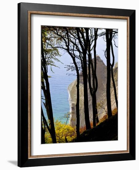 Germany, Ruegen Jasmund National Park, Beeches on the Shore Wissower over the Baltic Sea-K. Schlierbach-Framed Photographic Print