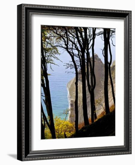 Germany, Ruegen Jasmund National Park, Beeches on the Shore Wissower over the Baltic Sea-K. Schlierbach-Framed Photographic Print