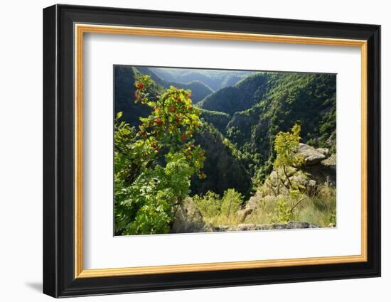 Germany, Saxony-Anhalt, Harz, Thale, view of the Bodetal from the Roßtrappe-Andreas Vitting-Framed Photographic Print