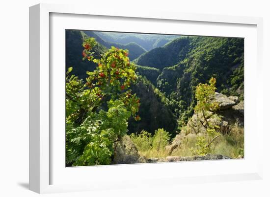 Germany, Saxony-Anhalt, Harz, Thale, view of the Bodetal from the Roßtrappe-Andreas Vitting-Framed Photographic Print