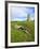 Germany, Saxony-Anhalt, LangeneichstŠdt, Big Stone Grave, Dolmen Goddess and EichstŠdter Warte-Andreas Vitting-Framed Photographic Print