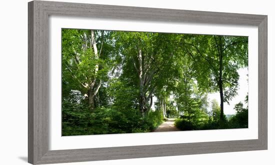 Germany, Saxony, Bad Muskau, High Path, Panorama, UNESCO World Heritage, FŸrst-PŸckler-Park-Catharina Lux-Framed Photographic Print