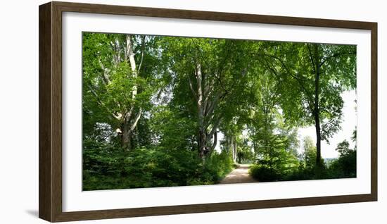 Germany, Saxony, Bad Muskau, High Path, Panorama, UNESCO World Heritage, FŸrst-PŸckler-Park-Catharina Lux-Framed Photographic Print