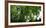 Germany, Saxony, Bad Muskau, High Path, Panorama, UNESCO World Heritage, FŸrst-PŸckler-Park-Catharina Lux-Framed Photographic Print