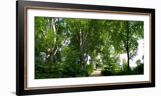 Germany, Saxony, Bad Muskau, High Path, Panorama, UNESCO World Heritage, FŸrst-PŸckler-Park-Catharina Lux-Framed Photographic Print