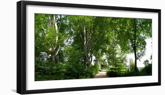 Germany, Saxony, Bad Muskau, High Path, Panorama, UNESCO World Heritage, FŸrst-PŸckler-Park-Catharina Lux-Framed Photographic Print