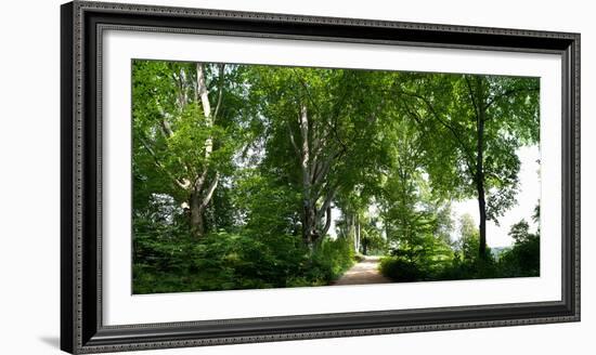 Germany, Saxony, Bad Muskau, High Path, Panorama, UNESCO World Heritage, FŸrst-PŸckler-Park-Catharina Lux-Framed Photographic Print