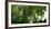 Germany, Saxony, Bad Muskau, High Path, Panorama, UNESCO World Heritage, FŸrst-PŸckler-Park-Catharina Lux-Framed Photographic Print