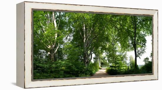 Germany, Saxony, Bad Muskau, High Path, Panorama, UNESCO World Heritage, FŸrst-PŸckler-Park-Catharina Lux-Framed Premier Image Canvas