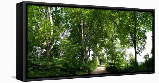 Germany, Saxony, Bad Muskau, High Path, Panorama, UNESCO World Heritage, FŸrst-PŸckler-Park-Catharina Lux-Framed Premier Image Canvas