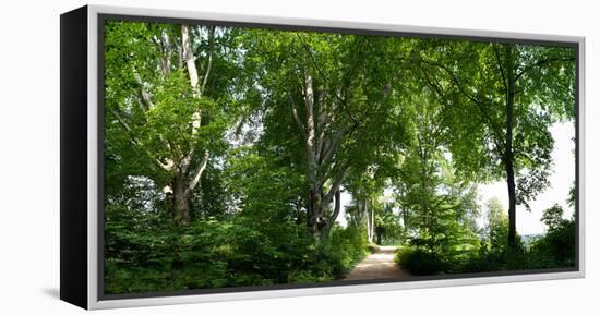 Germany, Saxony, Bad Muskau, High Path, Panorama, UNESCO World Heritage, FŸrst-PŸckler-Park-Catharina Lux-Framed Premier Image Canvas