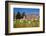 Germany, Saxony, Gšrlitz, Postplatz, Muschelminna-Catharina Lux-Framed Photographic Print