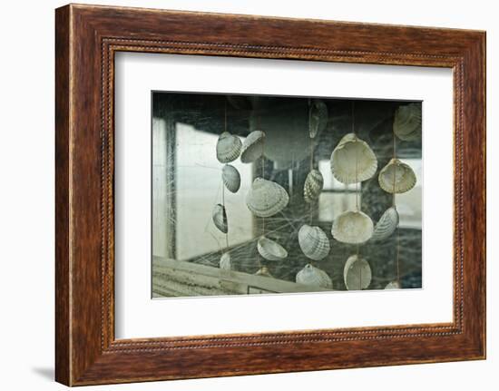 Germany, Schleswig-Holstein, Amrum, Beach Cottage, Seashells, Decoration-Ingo Boelter-Framed Photographic Print