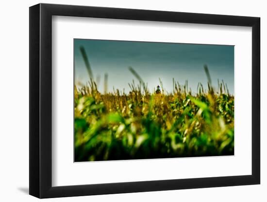 Germany, Schleswig-Holstein, Amrum, Corn Field, Lighthouse-Ingo Boelter-Framed Photographic Print