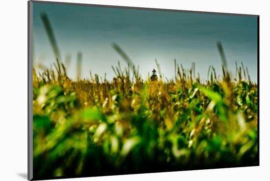 Germany, Schleswig-Holstein, Amrum, Corn Field, Lighthouse-Ingo Boelter-Mounted Photographic Print