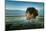 Germany, Schleswig-Holstein, Amrum, Sandy Beach, Sandbank, Kniepsand, Woman, Portrait, Side View-Ingo Boelter-Mounted Photographic Print