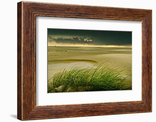 Germany, Schleswig-Holstein, Amrum, Sandy Beach, Sandbank, Kniepsand-Ingo Boelter-Framed Photographic Print