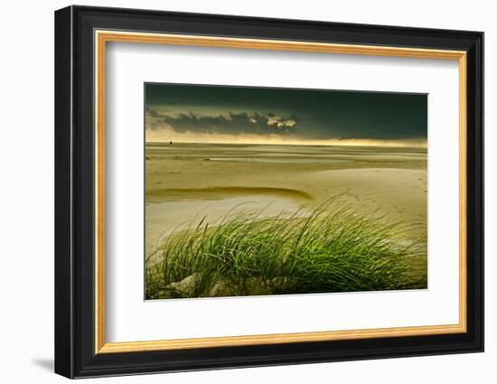 Germany, Schleswig-Holstein, Amrum, Sandy Beach, Sandbank, Kniepsand-Ingo Boelter-Framed Photographic Print