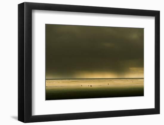 Germany, Schleswig-Holstein, Amrum, Sandy Beach, Sandbank, Stormy Atmosphere-Ingo Boelter-Framed Photographic Print