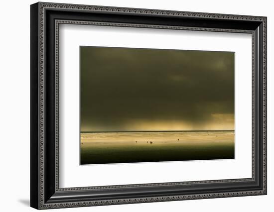 Germany, Schleswig-Holstein, Amrum, Sandy Beach, Sandbank, Stormy Atmosphere-Ingo Boelter-Framed Photographic Print